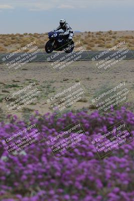 media/Jan-14-2023-SoCal Trackdays (Sat) [[497694156f]]/Turn 14 Exit Bloomig (145pm)/